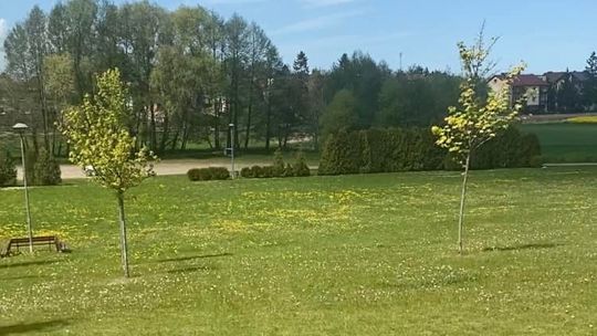 W Pszczółkach będzie skatepark!