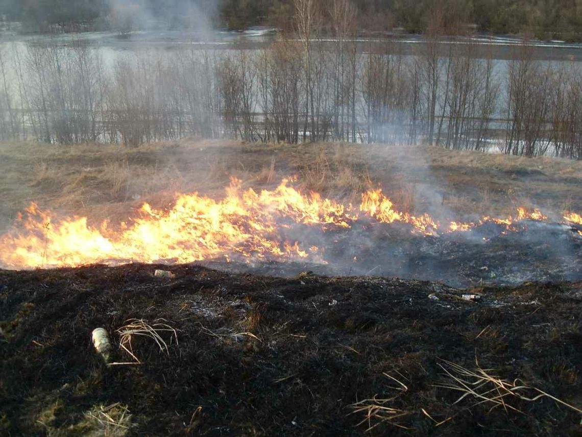 Sezon na wypalanie łąk trwa w najlepsze. Nawet mandaty nie pomagają