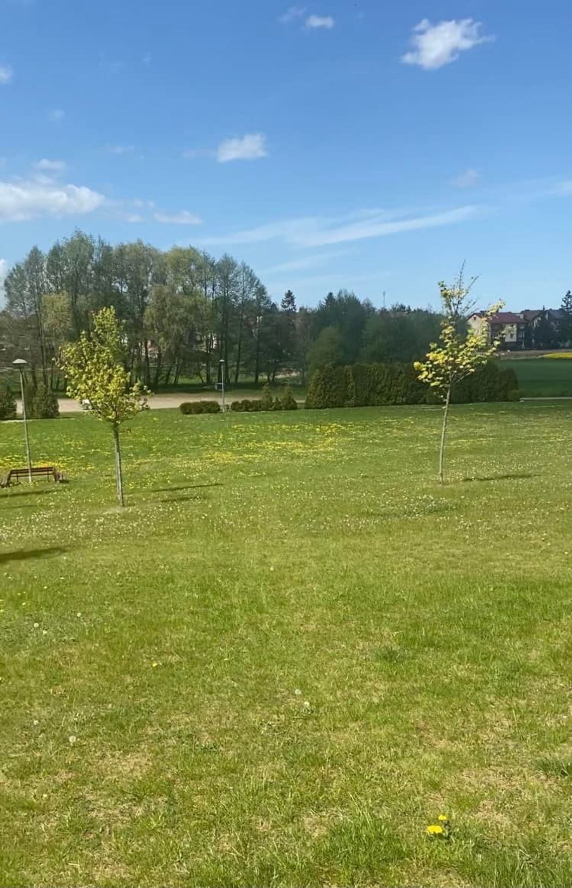 W Pszczółkach będzie skatepark!